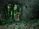 תמונת רקע נמר ביער ירוק