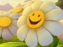 תמונת רקע פרח מחייך