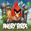משחקים ציפורים כועסות Angry Birds