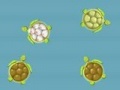 משחקי רשת בריכת הצבים - Turtle Pool