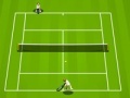 משחקי רשת משחק טניס
