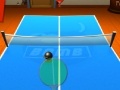 משחקי רשת פינג פונג (טניס שולחן)