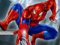 משחקי רשת Spiderman City Raid ספידרמן