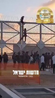 מספר מפגינים בעד התיישבות בעזה חצו את הגדר וברחו לכיוון עזה....