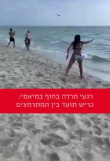 רגעי חרדה בחוף במיאמי: כריש תועד בין המתרחצים...