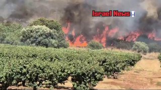 🔴 שריפות מדישון...