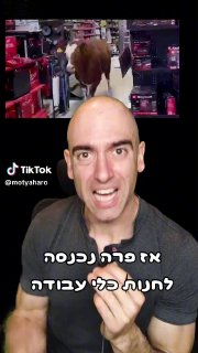 פרה נכנסה לחנות כלי עבודה ...