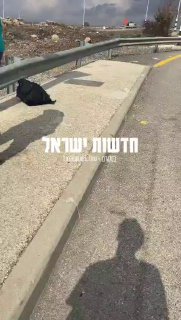 תיעוד דרמטי מקצרין 
...