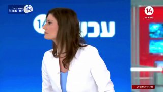 האלוף במיל' יפתח רון-טל על המורדים בסוריה: 