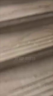 ‏סטודנטים פרו פלסטינים הגיעו לספרייה באוניברסיטת קולומביה...