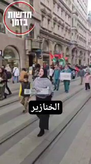 الخنازير...
