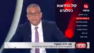 בלעדי לפטריוטים | 