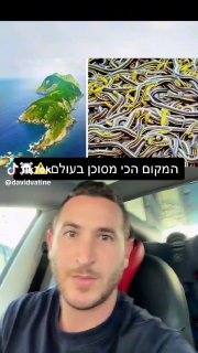 דוד וטין (@davidvatine): ״הייתם מבקרים באי הזה? 😵🐍 