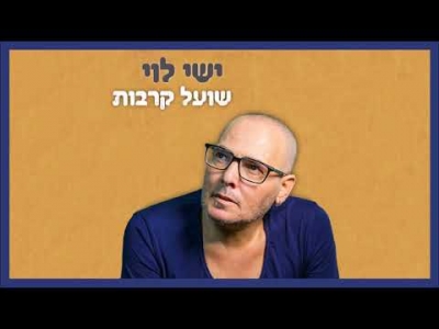 ישי לוי - דוד