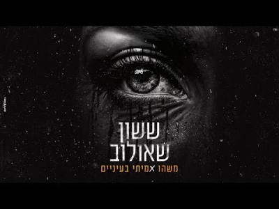 ששון איפרם שאולוב - משהו אמיתי בעיניים