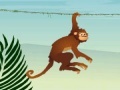 הקוף הקופץ - Jumper